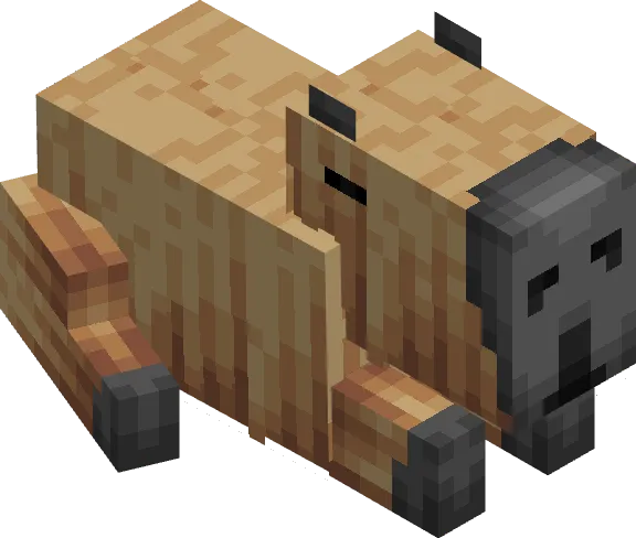 CapiCraft — Minecraft mod, rasm 1