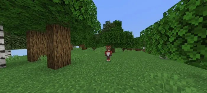Baron Quyon — Minecraft mod, rasm 1