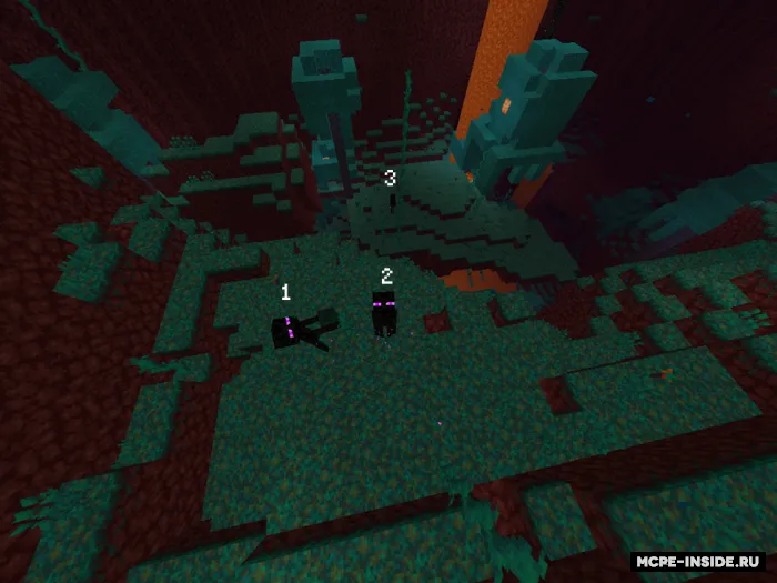 Endermanlar spavnini oshirish — Minecraft mod, rasm 2