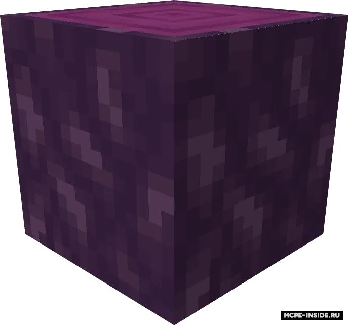 End yangilanishi — Minecraft mod, rasm 3