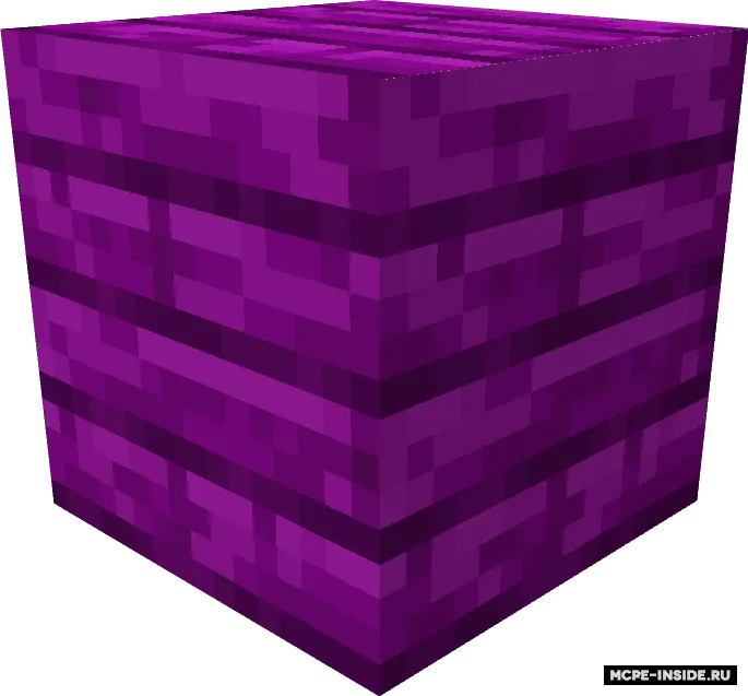 End yangilanishi — Minecraft mod, rasm 4