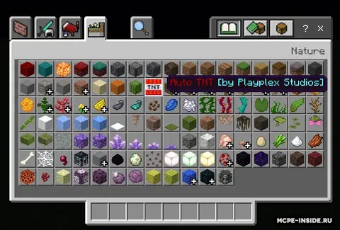 Avto TNT