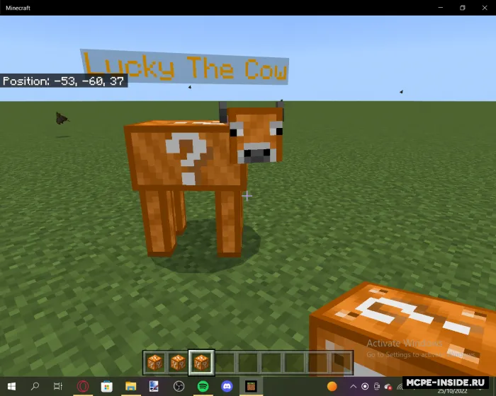 Mis lucky bloklar — Minecraft mod, rasm 2