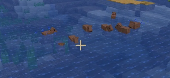 Kapibara — Minecraft mod, rasm 2