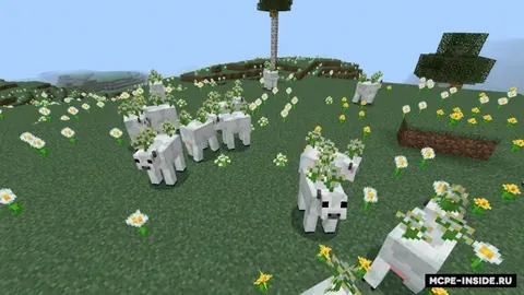 Mooblooms
