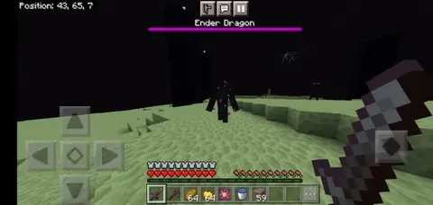 End xavflari