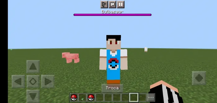 Piksel piksel — Minecraft mod, rasm 3