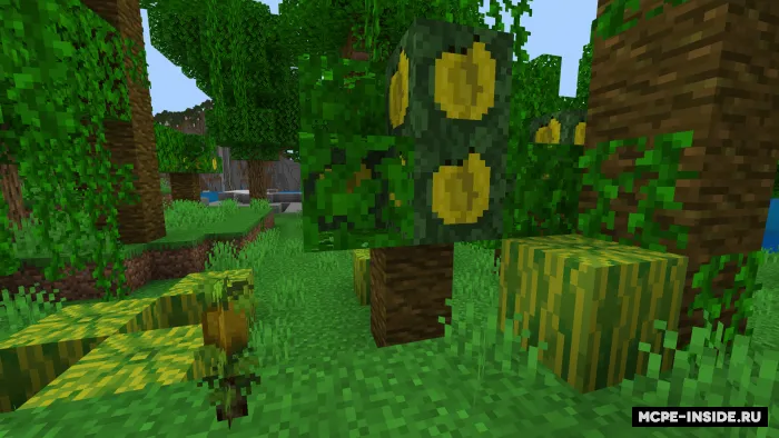 Yummy Food 2 — Minecraft mod, rasm 1