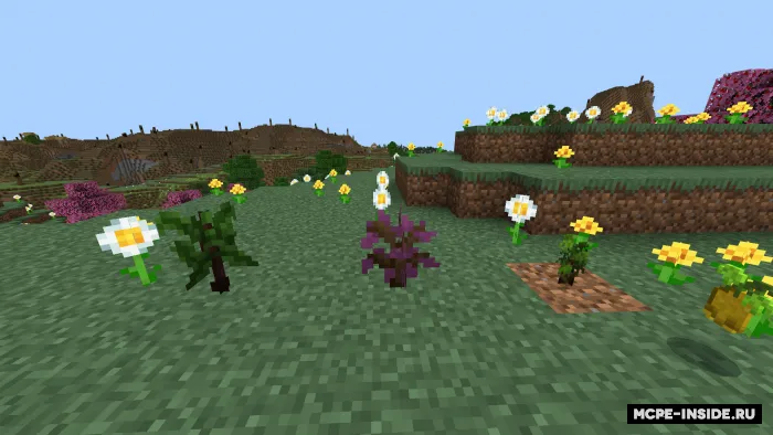Yummy Food 2 — Minecraft mod, rasm 3
