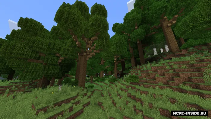 Atlas: Daraxtlar — Minecraft mod, rasm 3