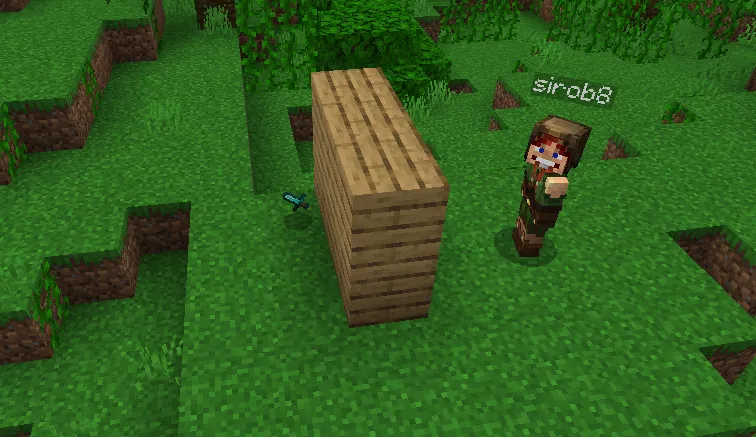 Tushgan buyumlar gologrammasi — Minecraft mod, rasm 2