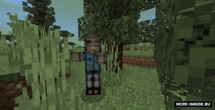 Nolinchi zona — Minecraft mod, rasm 3