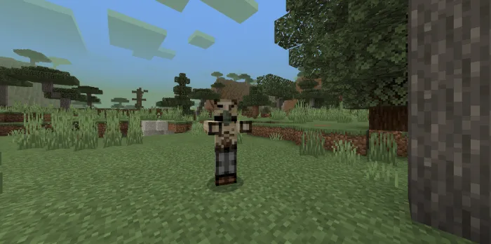 Nolinchi zona — Minecraft mod, rasm 4