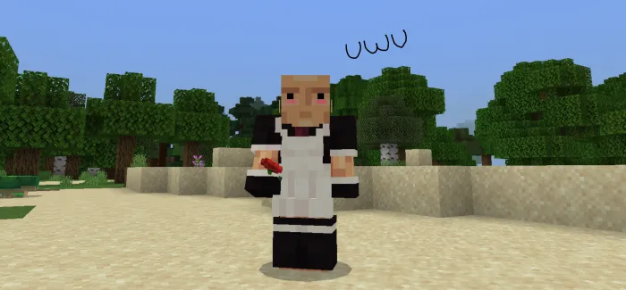 Roleplay uchun kiyimlar — Minecraft mod, rasm 3