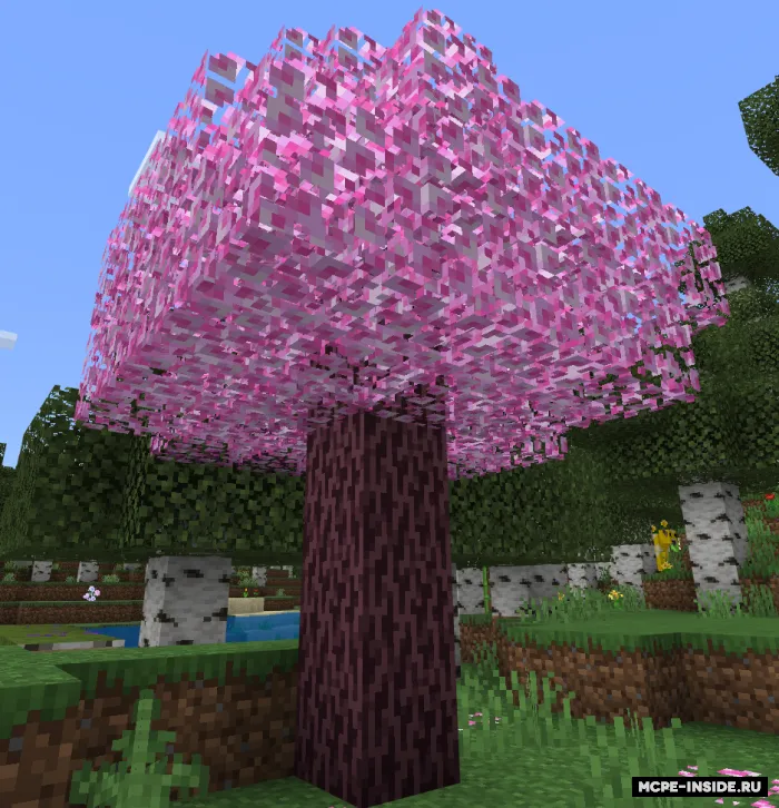 Yangi qayin o'rmonlari — Minecraft mod, rasm 3