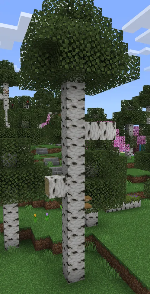 Yangi qayin o'rmonlari — Minecraft mod, rasm 4