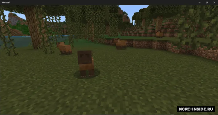 Kapibaralar — Minecraft mod, rasm 1