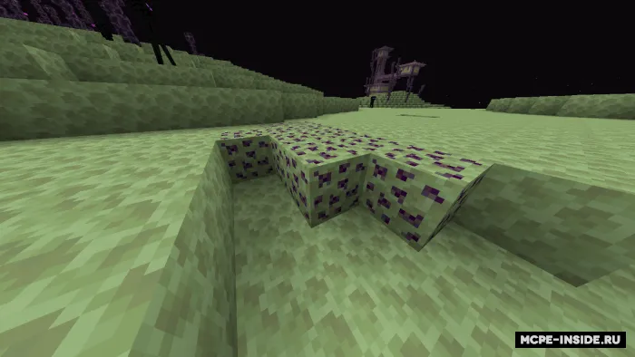 End va o'lja — Minecraft mod, rasm 3