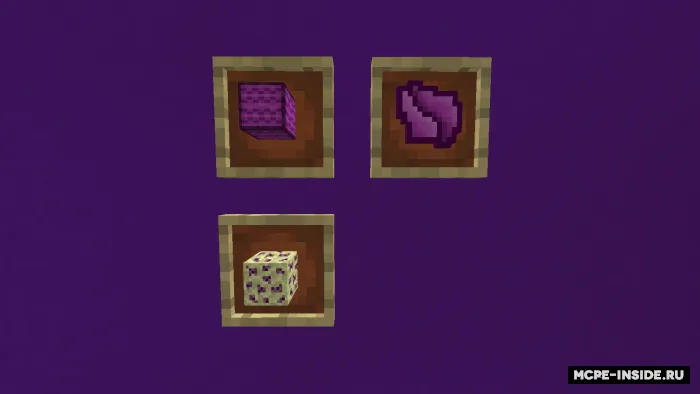 End va o'lja — Minecraft mod, rasm 4