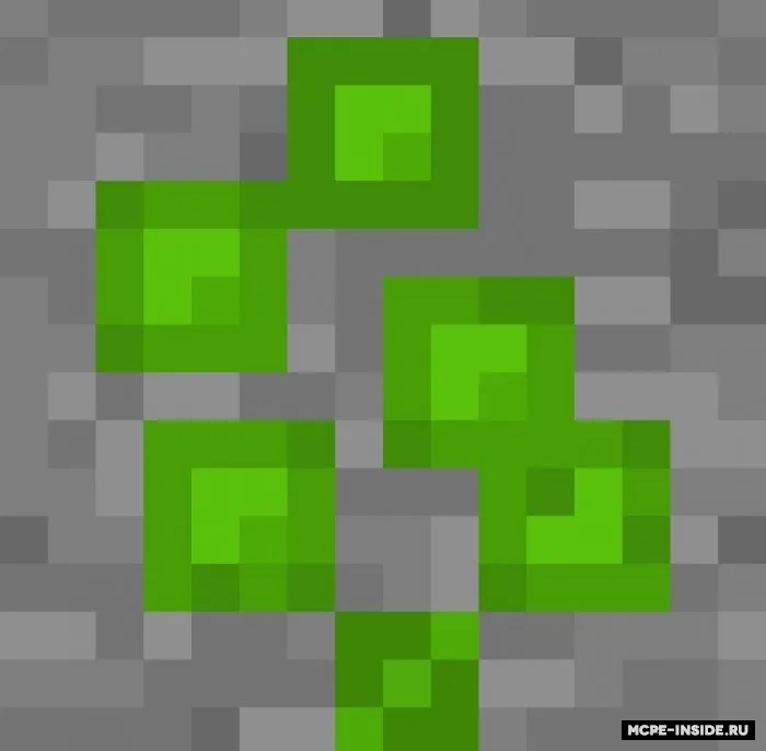 Tajriba rudasi — Minecraft mod, rasm 1