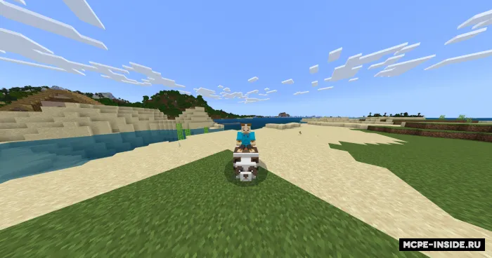 Miniladigan pandalar — Minecraft mod, rasm 1