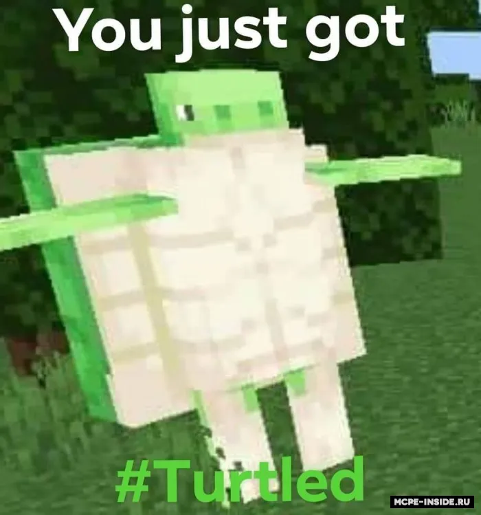 Yaxshilangan toshbaqalar — Minecraft mod, rasm 4