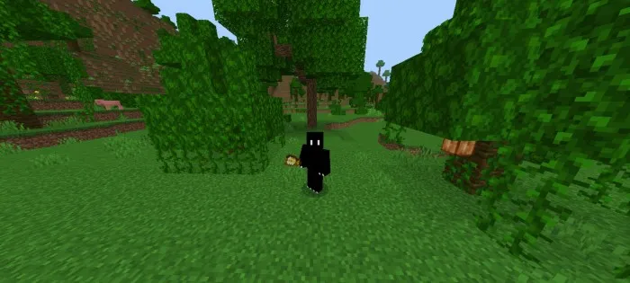 Sehrli tayoqchalar — Minecraft mod, rasm 3