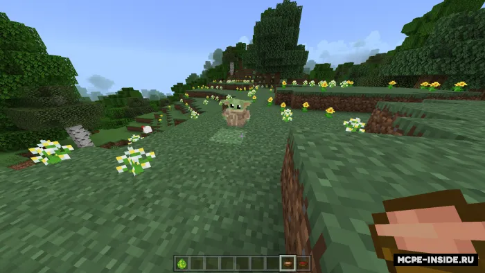 Baby Yoda — Minecraft mod, rasm 2