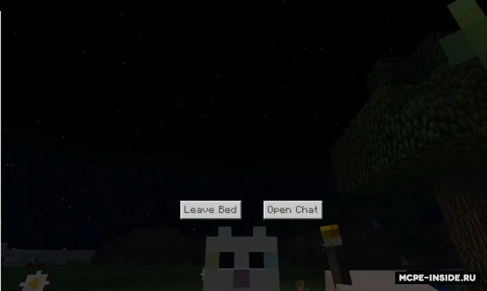 Bitta o'yinchi uxlaydi — Minecraft mod, rasm 1