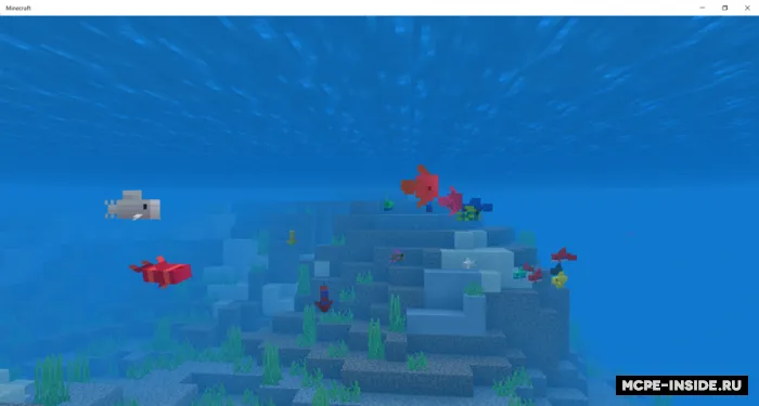Jangchi baliq — Minecraft mod, rasm 3