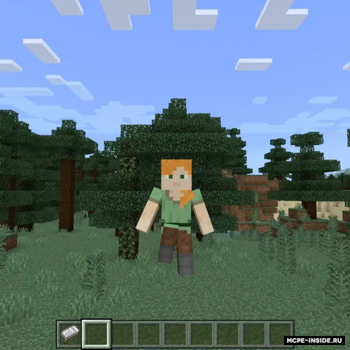 Harakatlarni optimizatsiya qilish — Minecraft mod, rasm 1