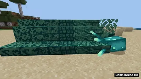 Squit bloklari