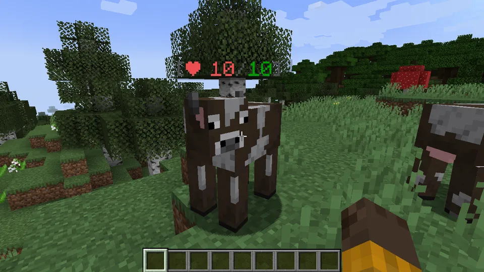 Health & Damage HUD — Minecraft mod, rasm 2