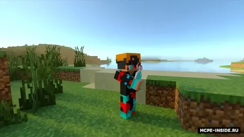 Zelyalar plyus