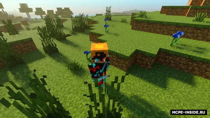 Zelyalar plyus — Minecraft mod, rasm 3