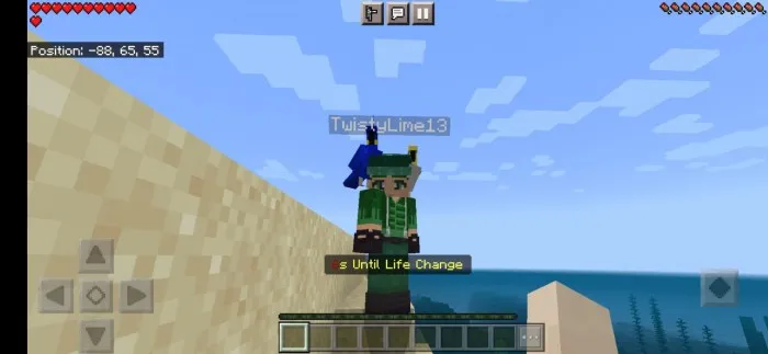 Minecraft, lekin tasodifiy sog'liq — Minecraft mod, rasm 1