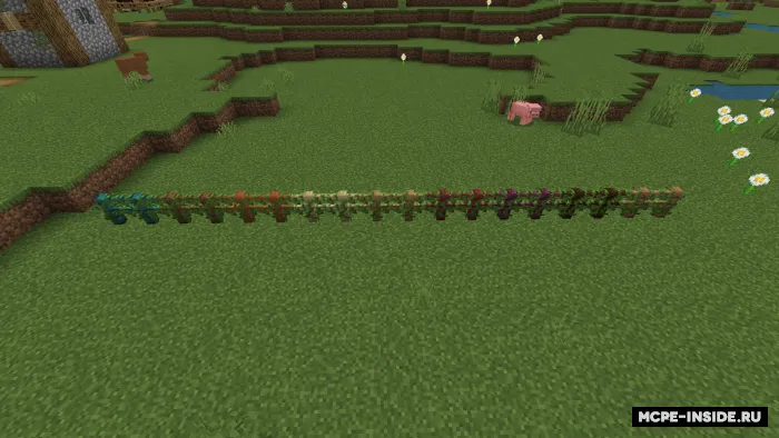 Tok bilan qoplangan to'siqlar — Minecraft mod, rasm 1