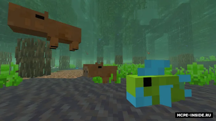 Kapibara — Minecraft mod, rasm 2