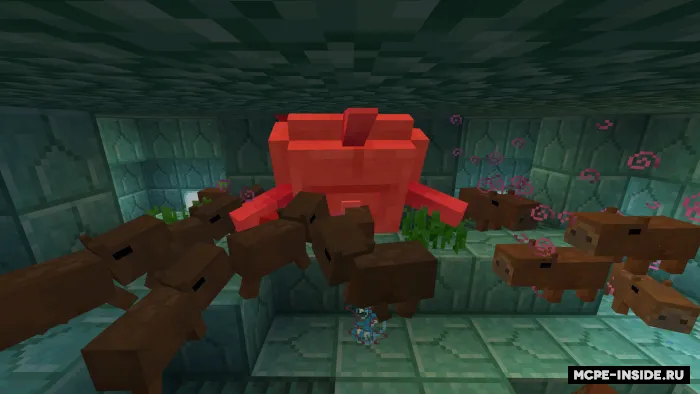 Kapibara — Minecraft mod, rasm 3