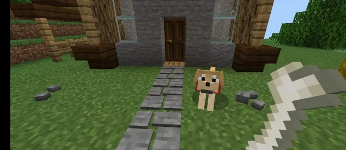 Tinch ferma — Minecraft mod, rasm 3