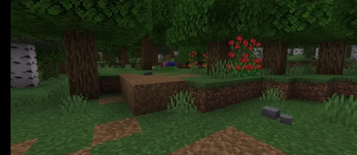 Tinch ferma — Minecraft mod, rasm 4