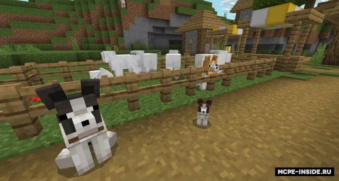 Domesticraft — Minecraft mod, rasm 3