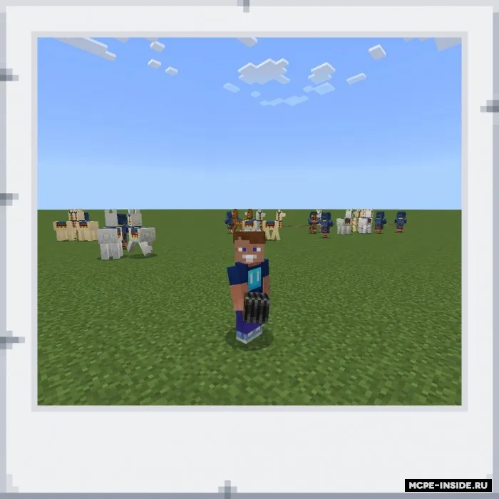 Sayohat qiluvchi savdogar kamera sotadi — Minecraft mod, rasm 3