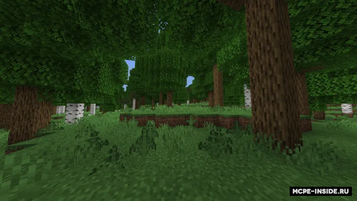 O'sgan daraxtlar — Minecraft mod, rasm 1