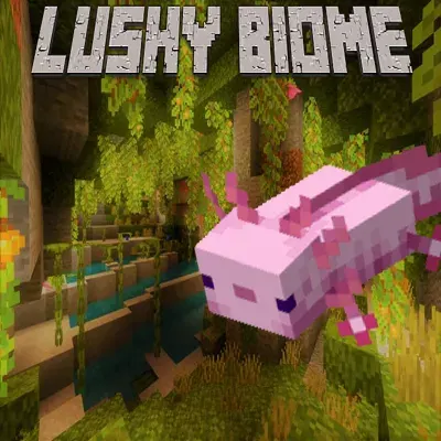 Lushy Biome