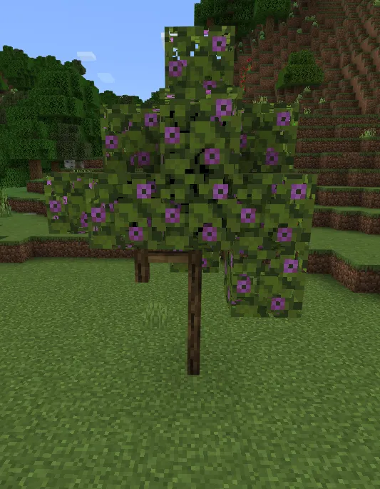 Panjaralar kengaytmasi — Minecraft mod, rasm 4