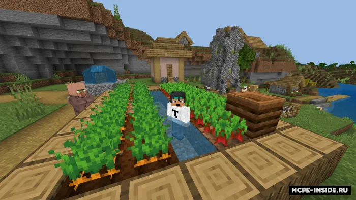 Vegetarian — Minecraft mod, rasm 1