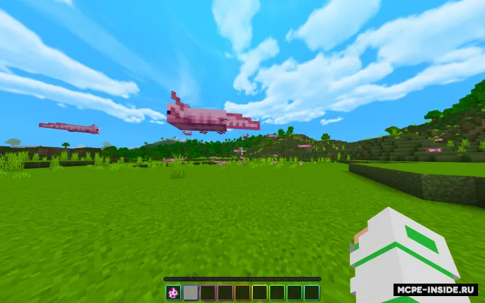 Uchar aksolotllar — Minecraft mod, rasm 1