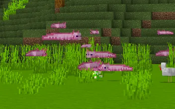 Uchar aksolotllar — Minecraft mod, rasm 2