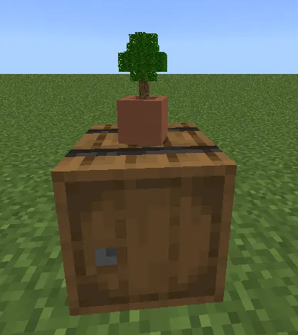 Hog botanikasi — Minecraft mod, rasm 1